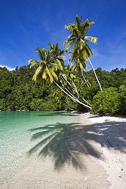 Tropical Island at Strait of Iris, Triton Bay, West Papua, Indonesia