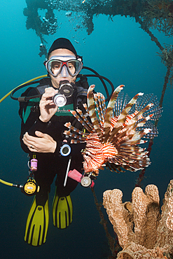 Lionfish at Mbike Wreck, Pterois volitans, Florida Islands, Solomon Islands