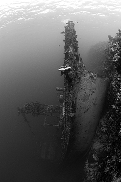 Upright Tuna Boat Wreck, Marovo Lagoon, Solomon Islands