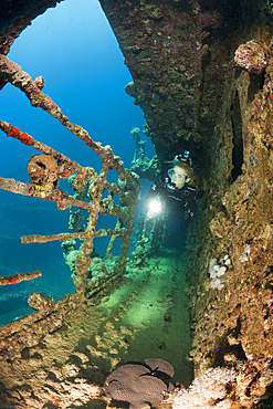 Scuba Diver at Umbria Wreck, Wingate Reef, Red Sea, Sudan