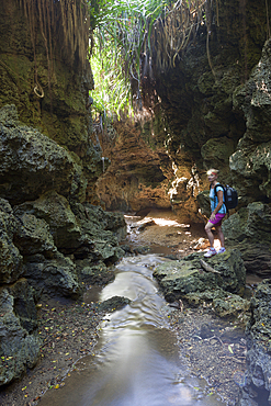 Andersons Dale Trail, Christmas Island, Australia