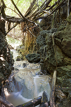 Andersons Dale Trail, Christmas Island, Australia