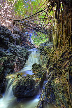 Andersons Dale Trail, Christmas Island, Australia