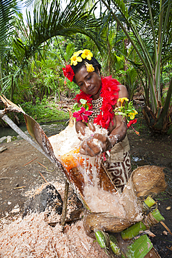 Demonstration of making Sago, Tufi, Oro Province, Papua New Guinea