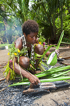 Demonstration of making Sago, Tufi, Oro Province, Papua New Guinea