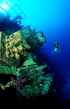 Scuba diver and ship wreck Theo?s wreck, Bahamas, Caribbean Sea, Grand Bahama