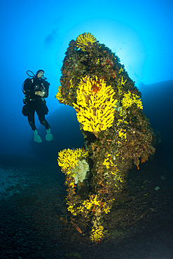 Scuba Diver at Vassilios Wreck, Vis Island, Mediterranean Sea, Croatia