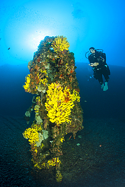 Scuba Diver at Vassilios Wreck, Vis Island, Mediterranean Sea, Croatia