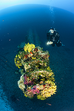 Scuba Diver at Vassilios Wreck, Vis Island, Mediterranean Sea, Croatia