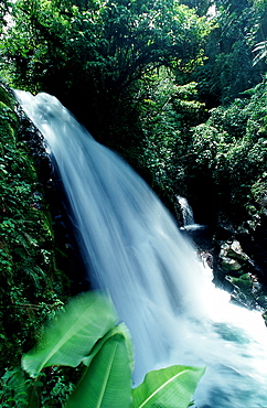 Waterfall, Costa Rica, South america, La Paz Waterfall Gardens