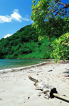 Untouched sandy beach, Costa Rica, South america, Cocos Island, South america, Latin america