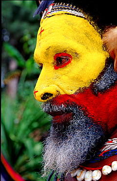 Huli wigman, Papua New Guinea, Tari, Huli, Highlands