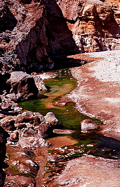 Volcanic spring beside Lac Assal, Lake Assal, Djibouti, Djibuti, Africa, Afar Triangle