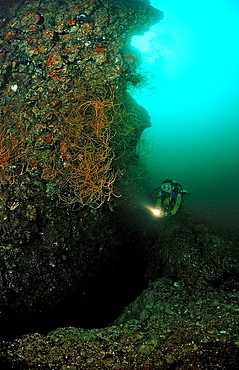 Tectonical rift underwater, Djibouti, Djibuti, Africa, Afar Triangle, Gulf of Aden, Gulf of Tadjourah