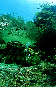 Scuba diving in a freshwater river, scuba diver, traun, Austria, Steiermark, Gruener See