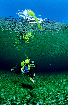 Scuba Diver in a mountain lake, Austria, Steiermark, Gruener See