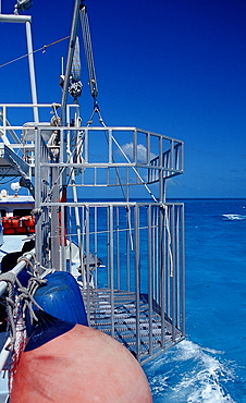 Shark cage, Bahamas, Atlantic Ocean, Central America