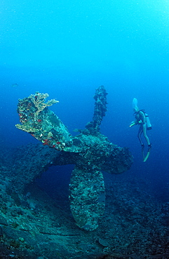 Scuba diver and propellor of Umbria shipwreck, Wingate Reef, Sudan, Red Sea, Africa