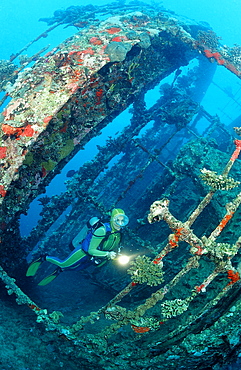 Scuba diver diving on Umbria shipwreck, Wingate Reef, Sudan, Red Sea, Africa