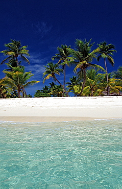 Sandy beach, Punta Cana, Dominican Republic, West Indies, Caribbean, Central America