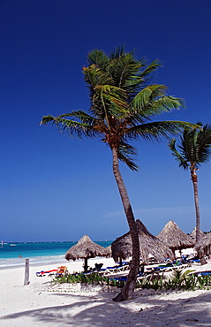 Sandy beach, Punta Cana, Dominican Republic, West Indies, Caribbean, Central America