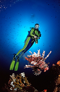 Scuba diver and lionfish (Pterois volitans), Bali, Tulamben, Indian Ocean, Indonesia, Southeast Asia, Asia