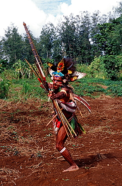 Huli wigman, archer, Tari, Huli, Highlands, Papua New Guinea, Pacific