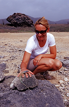 Tourist and Blue whiptail lizard, Cnemidophorus murinus ruthveni, Netherlands Antilles, Bonaire, Bonaire, Washington Slagbaai National Park, Boka Chikitu