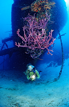 Scuba diver on the Hilma Hooker Ship Wreck, Netherlands Antilles, Bonaire, Caribbean Sea