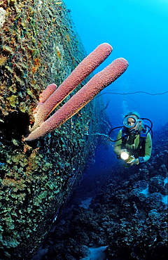 Scuba diver on the Hilma Hooker Ship Wreck, Netherlands Antilles, Bonaire, Caribbean Sea