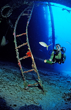 Scuba diver on the Hilma Hooker Ship Wreck, Netherlands Antilles, Bonaire, Caribbean Sea