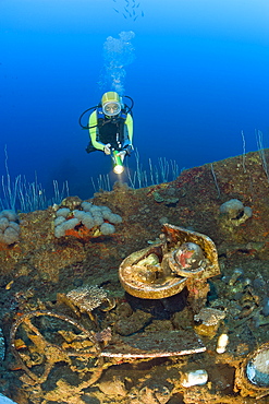 Diver discover Artifacts at Wreck of USS Carlisle Attack Transporter, Marshall Islands, Bikini Atoll, Micronesia, Pacific Ocean