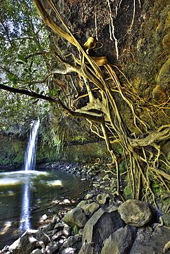 Twin Falls at Road to Hana, Maui, Hawaii, USA