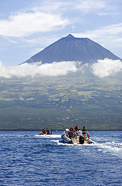 Tourists at Whale watching Tour, Azores, Atlantic Ocean, Portugal