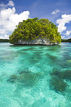 Islands of Palau, Micronesia, Palau