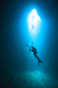 Diver in Siaes Tunnel Cave, Micronesia, Palau