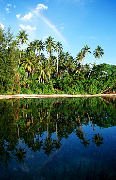 Island with coconut palms, Papua New Guinea, Neu Irland, New Ireland