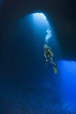 Diver in Blue Hole Cave, Micronesia, Palau