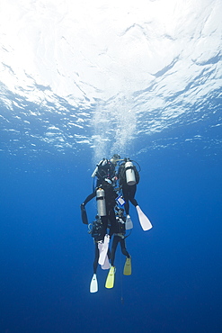 Diver doing Deco-Stop, Blue Corner, Micronesia, Palau