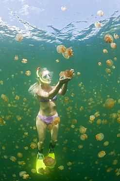 Woman in Jellyfish Lake, Mastigias papua etpisonii, Jellyfish Lake, Micronesia, Palau