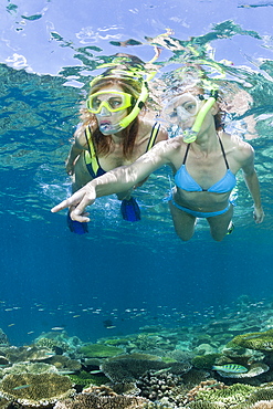 Skin Diving at Maldives, Ellaidhoo House Reef, North Ari Atoll, Maldives