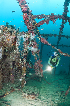 Diver at Kuda Giri Wreck, South Male Atoll, Maldives