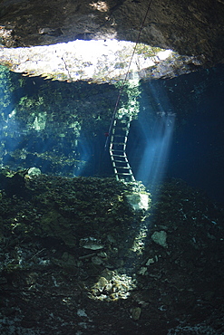 Entrance of Gran Cenote, Tulum, Yucatan Peninsula, Mexico