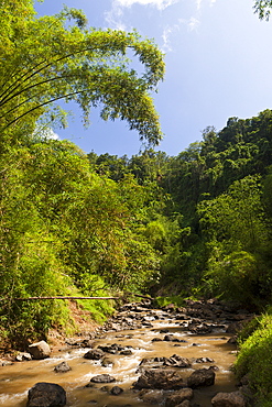 Navua River, Pacific Harbour, Viti Levu, Fiji, Pacific