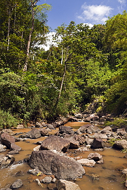 Navua River, Pacific Harbour, Viti Levu, Fiji, Pacific