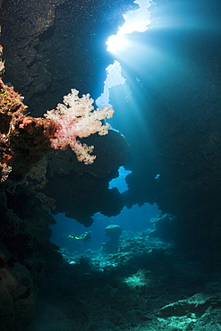 Sunbeam in Underwater Cave, Namena Marine Reserve, Fiji, Pacific