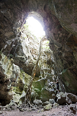 Tourist inside San Gabriel Limestone Cave, Los Haitises National Park, Dominican Republic, West Indies, Central America