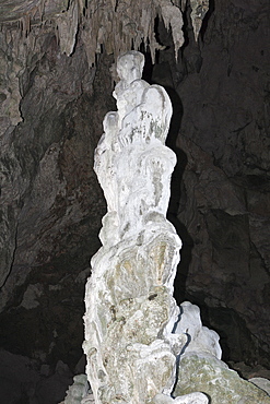 San Gabriel Limestone Cave, Los Haitises National Park, Dominican Republic, West Indies, Central America