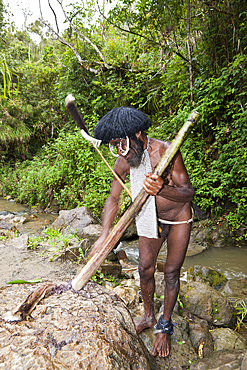 Dani chief showing traditional salt extraction at Jiwika Salt Spring, Baliem Valley, West Papua, Indonesia, Southeast Asia, Asia