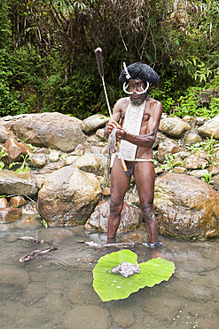 Dani chief showing traditional salt extraction at Jiwika Salt Spring, Baliem Valley, West Papua, Indonesia, Southeast Asia, Asia